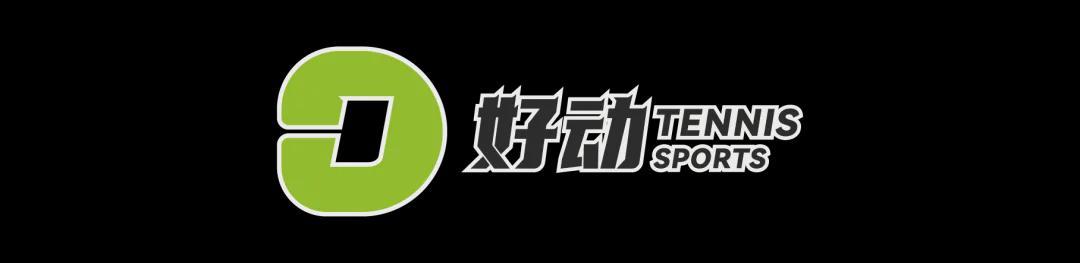 开云网址-史上第二高价格 美网冠军奖杯被拍卖 前世界第一破产后 荣耀也成抵债品